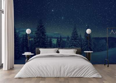 Night winter landscape with snowy trees Wall mural