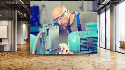 worker in factory on the machine Wall mural