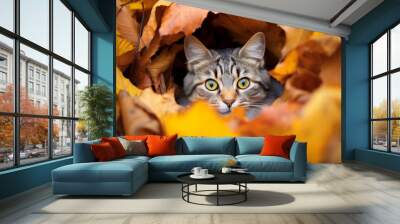 Cat face surrounded by colorful autumn leaves Wall mural