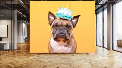 Fawn French Bulldog dog wearing birthday cake party hat on yellow background Wall mural