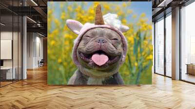 Funny lilac brindle colored French Bulldog dog with funny pink unicorn hat, closed eyes and tongue sticking out on blurry yellow flower background Wall mural