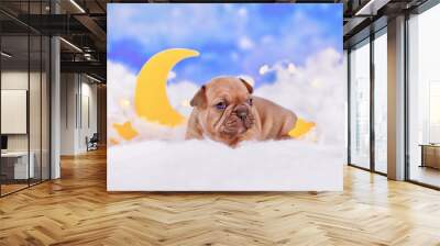 Tiny red fawn French Bulldog dog puppy between fluffy clouds with moon and stars Wall mural