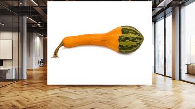 Yellow and green crookneck gourd on white background Wall mural