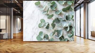 A close up of fresh eucalyptus leaves arranged in a spiral pattern against a white marble background, emphasizing the leaves' natural textures Wall mural