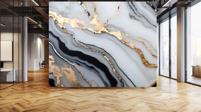 Gold abstract black marble background art paint pattern ink texture watercolor white fluid wall. Abstract liquid gold design luxury wallpaper nature black brush oil modern paper splash painting water	 Wall mural