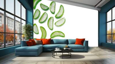 Isolated fresh aloe vera on white background Wall mural