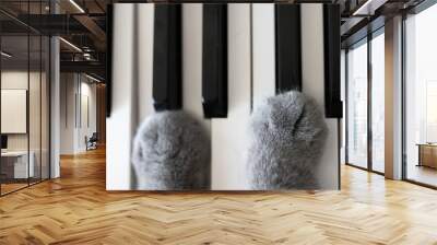 piano keys and playing piano Wall mural