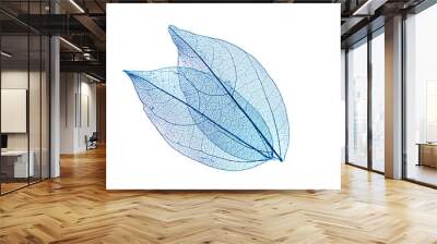 transparent leaf skeletons  on white background Wall mural