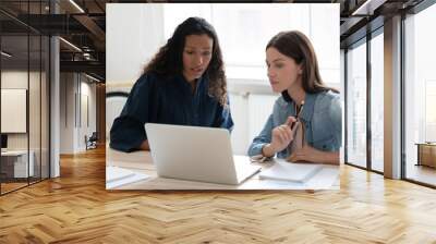 African American businesswoman mentor training intern, using laptop, sitting at table in modern office, diverse colleagues working on project together, manager consulting client, presenting results Wall mural