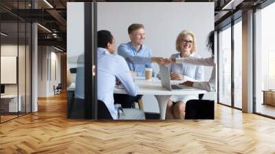 African businesswoman handshake happy male caucasian client at group meeting Wall mural