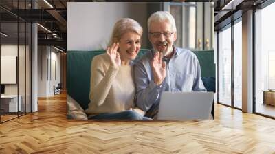 Aged couple looks at computer screen wave hands greeting friend Wall mural