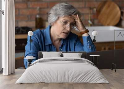 Distressed mature grey-haired woman look at laptop screen have problems pay household bills or taxes online. Unhappy stressed senior female in glasses troubles with computer slow internet or spam. Wall mural