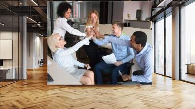 Excited young and old businesspeople employees group give high five Wall mural