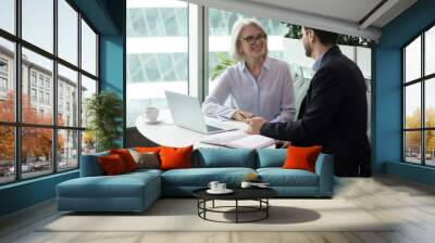 Female boss discusses work issues with subordinate middle aged man, sitting at the table. Communication and negotiations between management and employee Wall mural