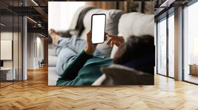 Female using phone. Over shoulder view of young woman lying on sofa hold smartphone with blank empty screen. Template for web app chat interface online advertisement mobile game social network profile Wall mural