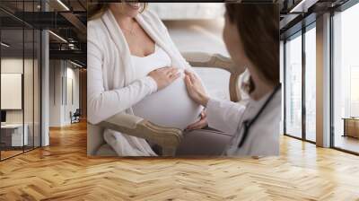 Hand of unknown obstetrician touches big belly of pregnant woman during visit at home, close up cropped shot. Prenatal care, doula consults future mother, pregnancy, motherhood and medicine concept Wall mural