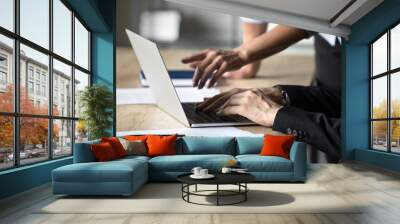 Hands of business colleagues working on project at laptop together, typing on keyboard, pointing finger at screen, sitting at workplace table, discussing online content on display Wall mural