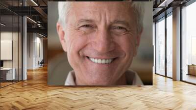 Handsome older man smiling staring at camera feels happy, close up face view. Senior advertise professional dental clinic, teeth repair and check up services, medical insurance cover for elder concept Wall mural