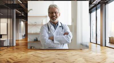 Happy confident bearded old professional doctor standing arms crossed looking at camera. Smiling senior adult physician, reliable successful therapist wearing white lab coat and stethoscope, portrait. Wall mural