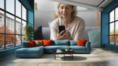 Happy older woman using smartphone for video call from home, reading message on mobile phone and receiving good news. Elderly 60s lady with cell phone sitting on couch, looking at screen, smiling Wall mural