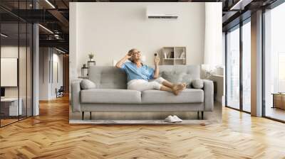 Happy relaxed senior lady holding AC remote control, starting conditioning split system, cooling air, resting on soft stylish couch in modern home interior, enjoying comfortable climate in apartment Wall mural