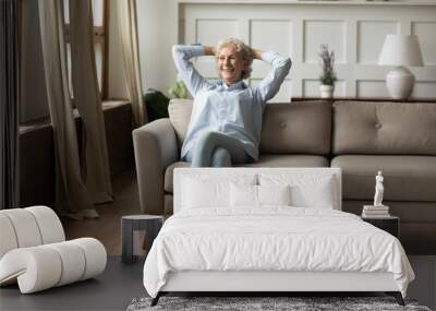 home, sweet home. happy smiling retired senior female relaxing at living room indoor sitting alone c Wall mural