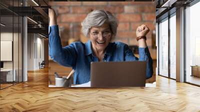 I did it. Excited 50s mature latin lady scream of joy delight look at laptop screen achieving success in learning computer app. Overjoyed senior woman pensioner win money prize get victory at web game Wall mural