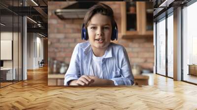 Portrait of cute gen Z school boy in headphones speaking at webcam during video call. Kid learning online, studying from home, using gadget for virtual talk to teacher. Screen view head shot Wall mural