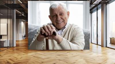 Portrait of happy senior grandfather sitting on couch looking at camera demonstrating white healthy teeth in smile. Satisfied elderly man patient having healthy habit of regular visiting dental clinic Wall mural