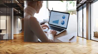 Rear view close up businesswoman working with financial project statistics on laptop, accountant employee analyzing data, graphs charts, report, looking at computer screen, sitting at work desk Wall mural