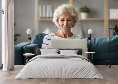 Satisfied mature woman using laptop sitting on cozy couch at home, looking at screen, chatting or shopping online, using services in internet, focused older senior female reading email Wall mural