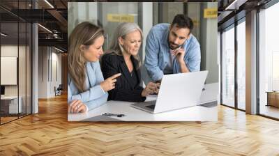 Senior mentor woman training staff of employees, showing professional app, software, online presentation, content on laptop, sitting at workplace. Diverse team working together at computer Wall mural