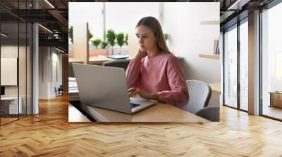 Serous thoughtful young university student girl typing on laptop in public library, thinking on report, article, essay, research paper, studying on Internet, sitting at table with open books Wall mural