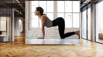 Young sporty attractive woman practicing yoga, doing asana paired with Cat Pose on the exhale exercise, Cow, Bitilasana pose, working out, wearing sportswear, indoor full length, white yoga studio Wall mural