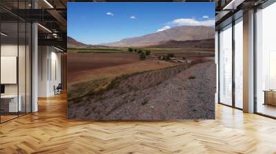 high altitude road in mountain valley in argentina Wall mural