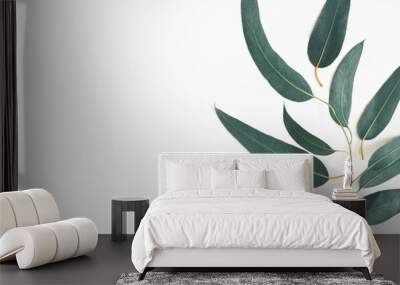 Eucalyptus leaves on white background. Flat lay, top view, copy space Wall mural