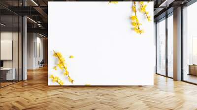 Flowers composition. Yellow flowers on white background. Spring concept. Flat lay, top view Wall mural