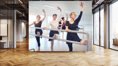 Group of mature women exercising in ballet class Wall mural