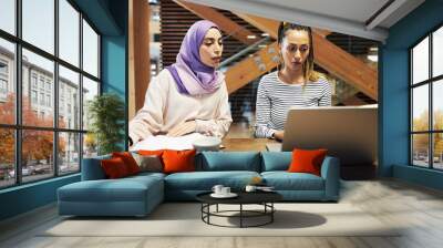 two diverse young businesswomen working on a laptop Wall mural