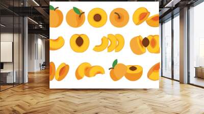 Set of orange Apricot, Farm fresh Apricot product emblem for grocery shop, Slides, long and cross sections, and different positions, simple flat vector illustration of vegetables and fruits. Wall mural