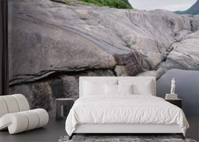 Beautiful landscape of north Norway Wall mural