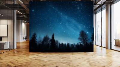 Starry sky at night above the mountain range Wall mural