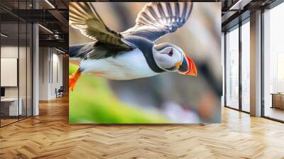 closeup shot of an atlantic puffin sflying with a blurred background Wall mural