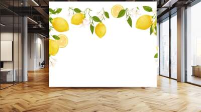 Yellow citrus fruit frame. Lemon, leaves and flowers. Tropical clip art illustration Wall mural