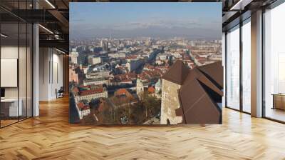 Roof of Ljubljana, capital of Slovenia, from the Castle Wall mural