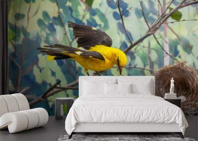 A yellow little bird on a branch Wall mural