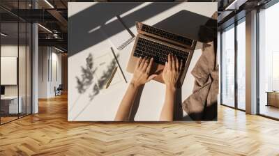 Aesthetic luxury bohemian minimalist home office workspace desk. Woman working on laptop computer. Notebook, blanket, pampas grass with sunlight shadows. Flat lay, top view work, business concept Wall mural