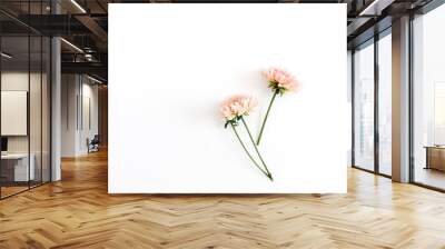 Beautiful chrysanthemum flower on white background. Flat lay, top view. Flower composition. Wall mural