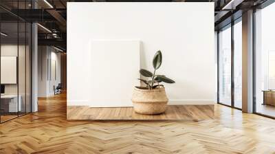 Blank canvas with empty mockup copy space. Home plant ficus elastica robusta in rattan pot. Minimal artist studio interior concept. Wall mural