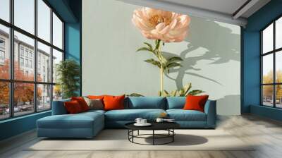 Elegant aesthetic peony flower with sunlight shadows on neutral blue background Wall mural